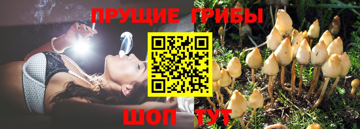 Галлюциногенные грибы Magic Shrooms  Вход с VPN  Еманжелинск 